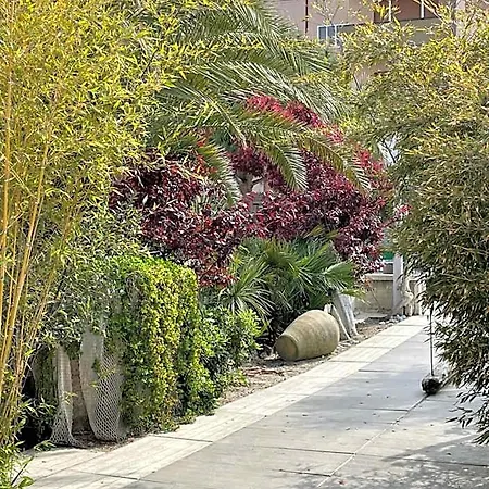 Labotanica_casalounge 4* צ'סנטיקו